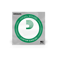 D`ADDARIO PNG023