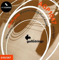 GALLI STRINGS AGP1047